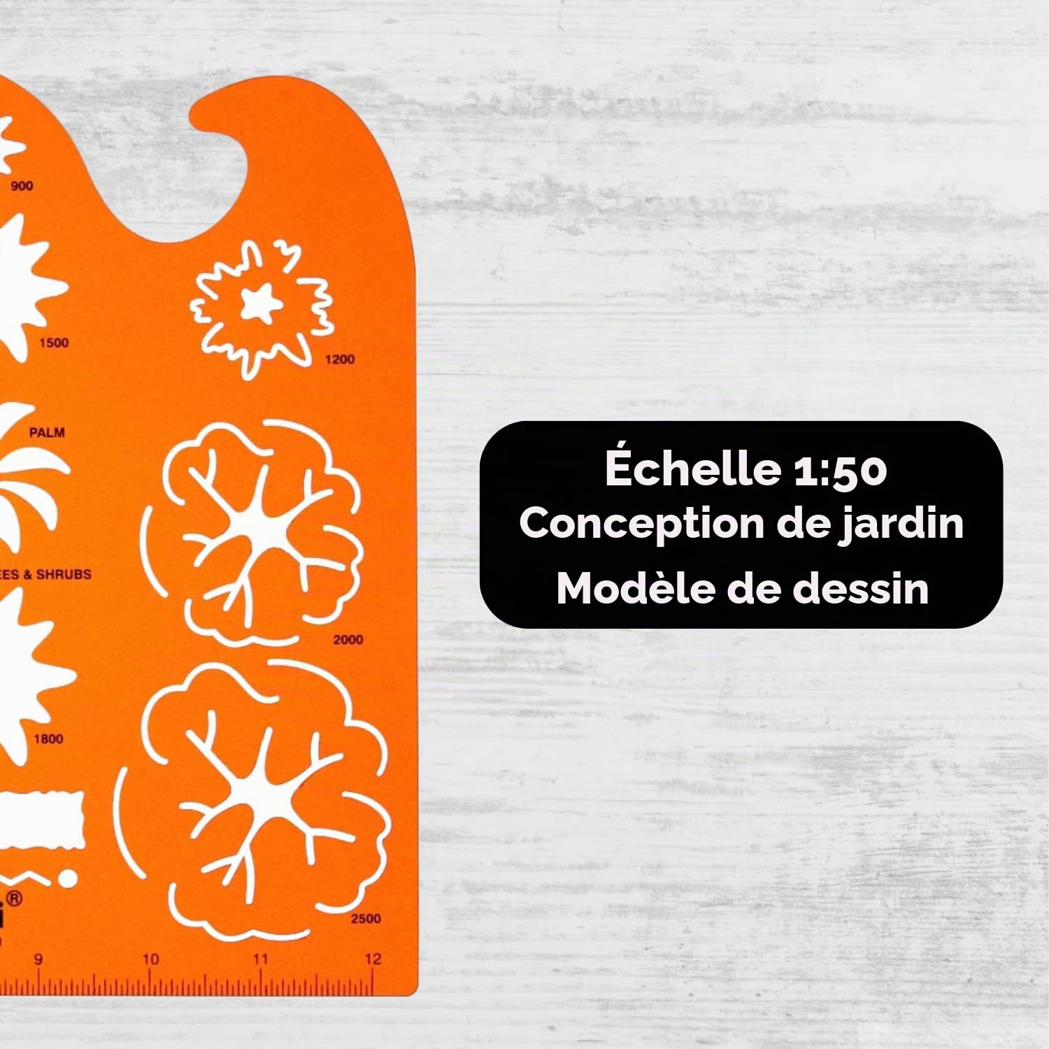 1:50 échelle Trace Gabarit Conception Planification de Jardin Paysage Architecte Symboles Plan Dessin Technique Industriel Architecture Paysagère