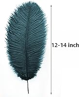 Vista 127 de 24 piezas de plumas de avestruz blanco natural de 10-12 pulgadas (25-30cm) para centros de mesa de bodas y fiestas, arreglos florales y decoración