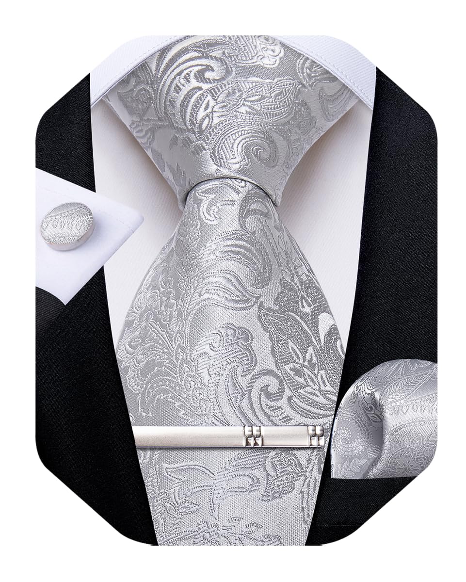 DiBanGu Silk Floral Ties for Men Woven Paisley Necktie