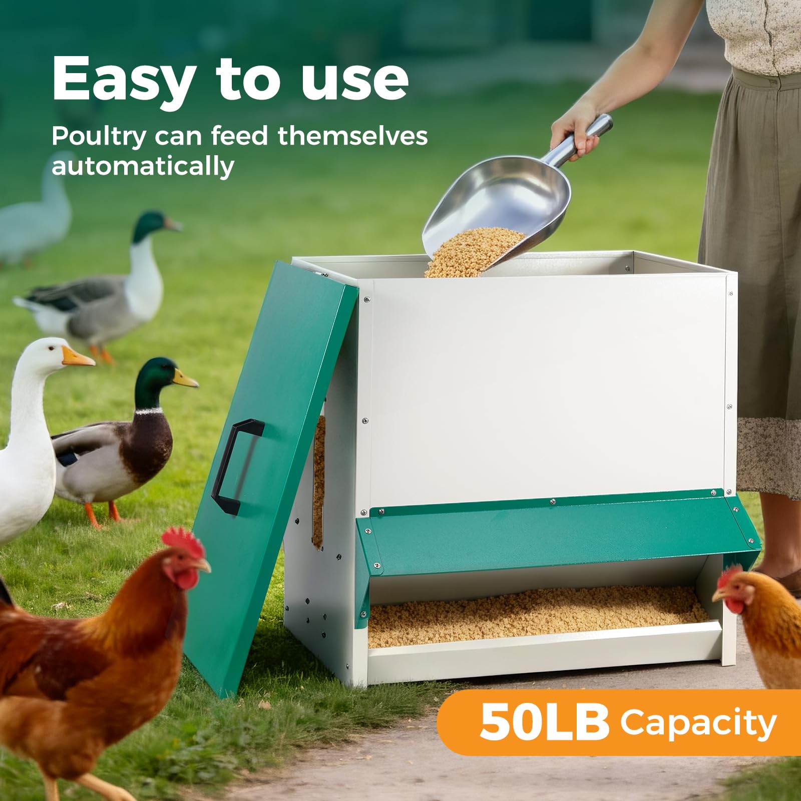 Alimentador automático de aves de corral de metal, 45 kg, con tapa y tapón, sin desperdicio, comedero para pollos, resistente a la intemperie, para exteriores, para pollos, patos, aves de