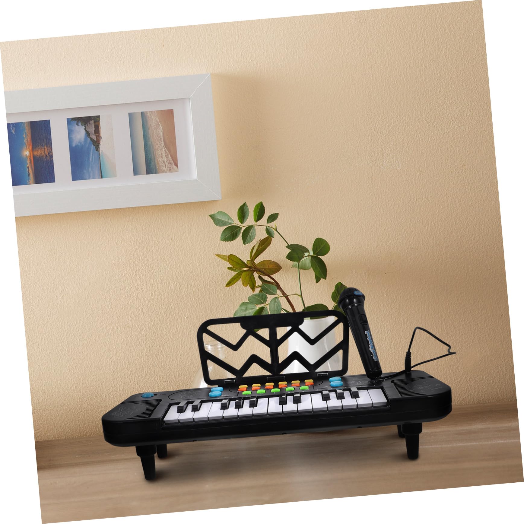 Pianola Giocattolo 25 Tasti con Microfono, Plastico Nero