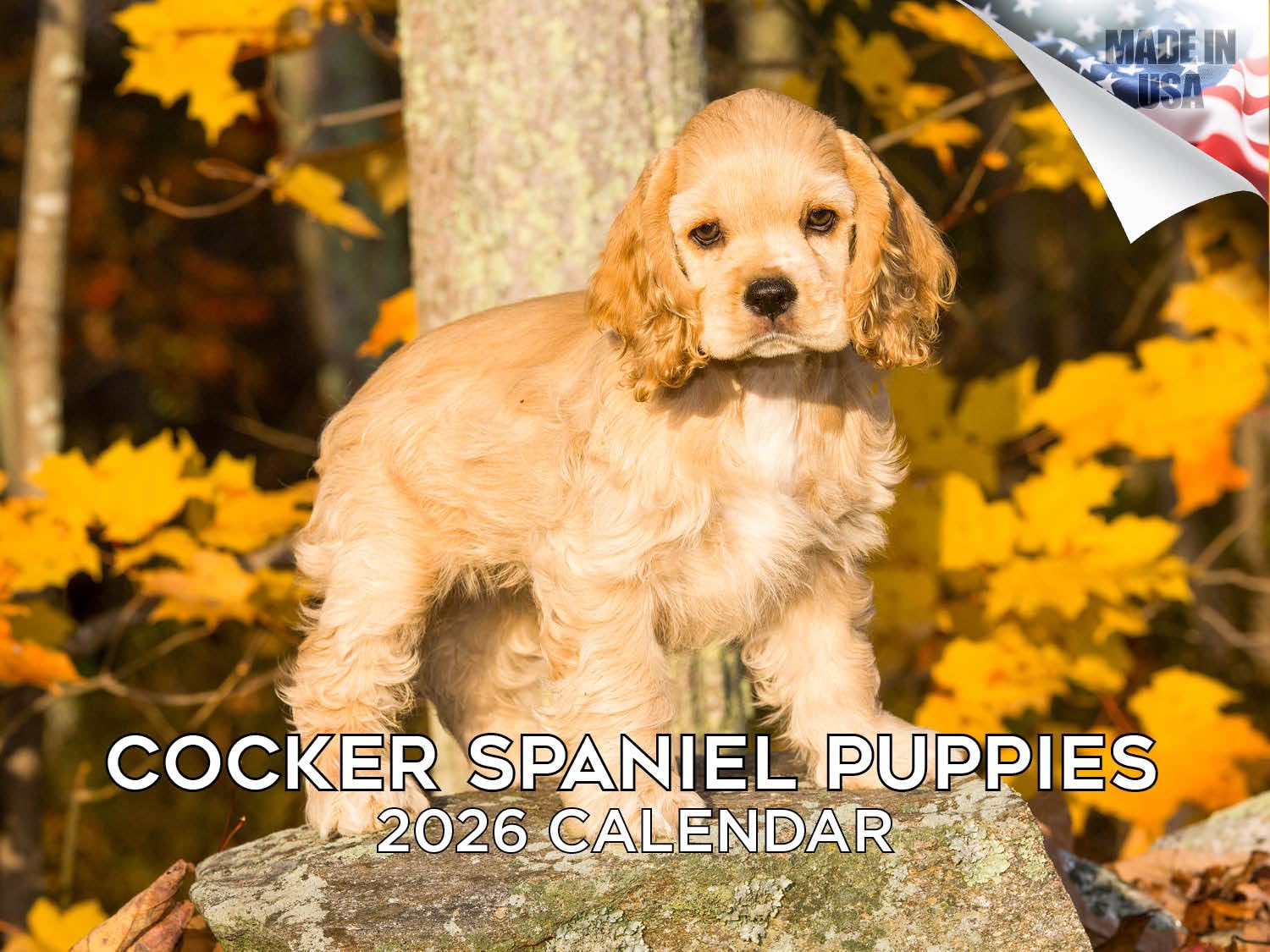 Calendario 2024 2025 con cuccioli di Cocker Spaniel, calendario mensile da parete con razza di cane, 30,5 x 45,7 cm, aperto, carta spessa senza sbavature, regalo, calendario per insegnanti accademici,