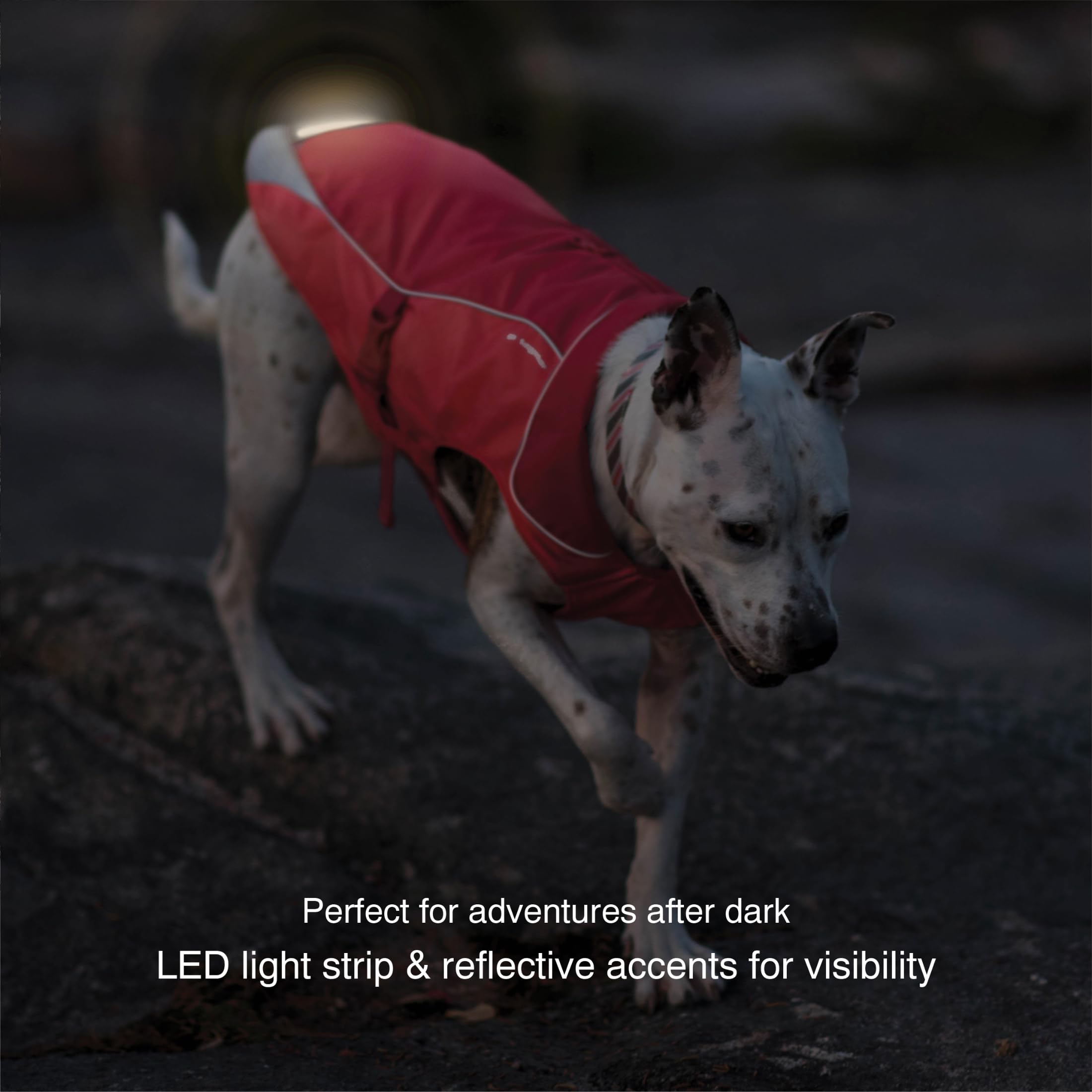 Kurgo North Country, Abrigo para Perros, Chaqueta de Invierno para Perros, Impermeable, Reflectante - Negro, M