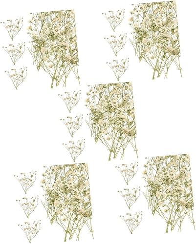 Amosfun 5pcs 1 Baby's Breath Embossed Vase for Flowers Dried Flowers Nail Art Arreglos Florales Naturales Nordic Decor Preserved Flower Decor Plant