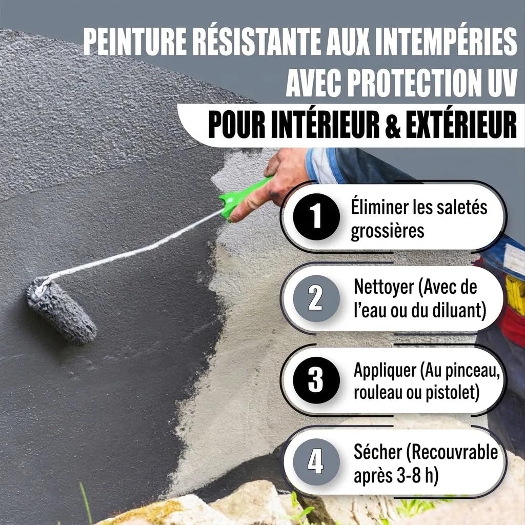 peinture béton extérieur satiné brun chocolat RAL 8017 marron – Peinture façade traditionnelle pour supports minéraux (pierre, mur, béton, façade, enduit, ciment) – Peindre & sceller (1 L) Lausitzer F