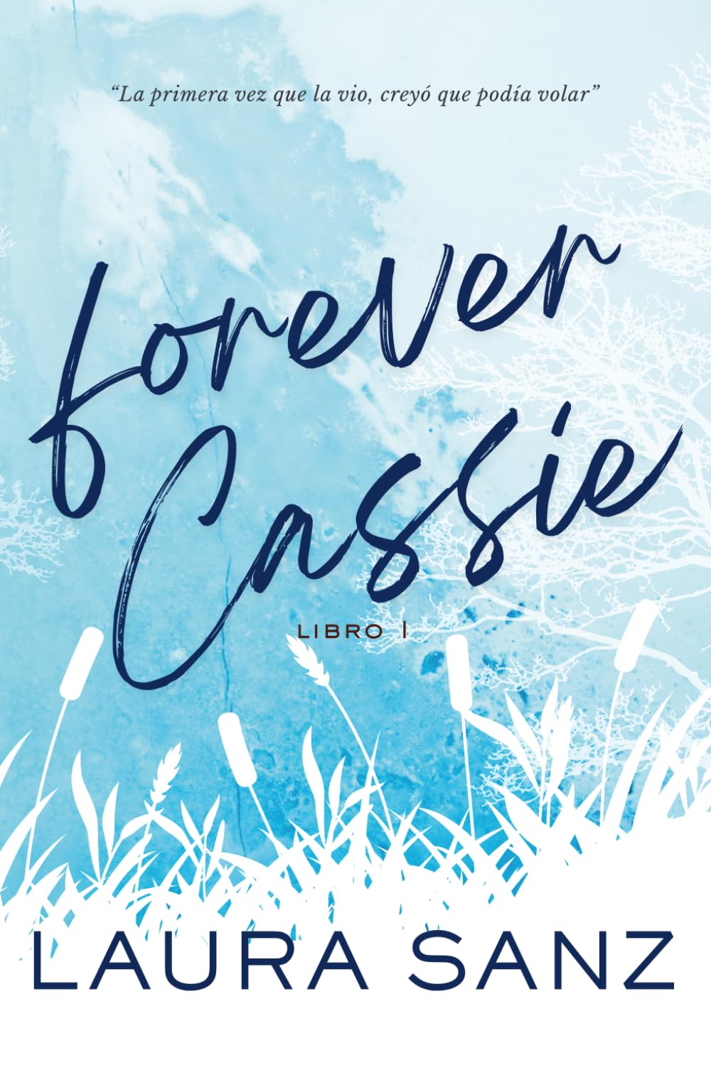 Forever Cassie: Novela romántica contemporánea