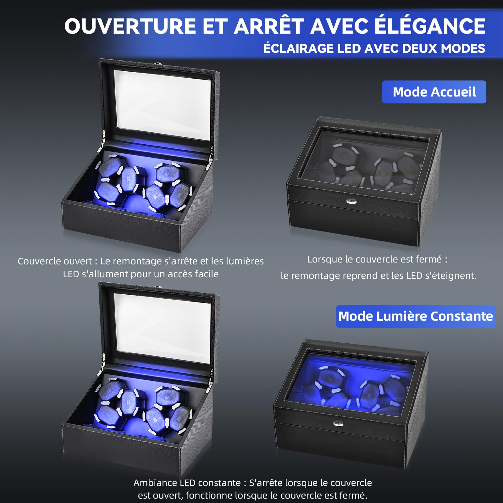 Hightall Remontoir Automatique pour 6 ou 12 Montres avec Moteur Ultra-Silencieux (<5dB)