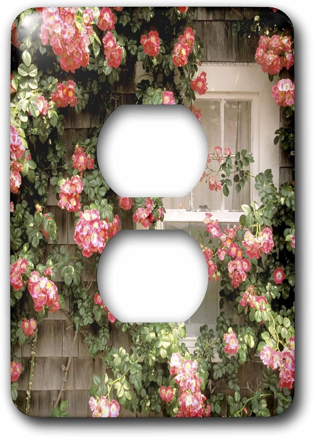 3dRose LLC lsp_90955_6 Massachusetts, Nantucket Island, Roses and Home Us22 Wbi0116 Walter Bibikow 2 Plug Outlet Cover