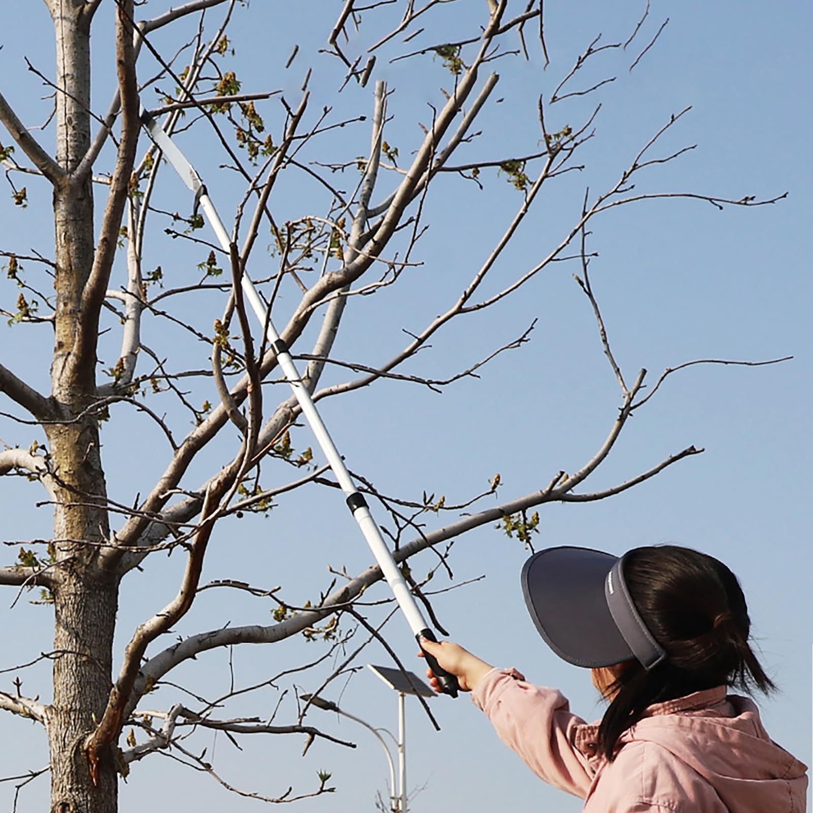 Podadora Telescópica De 1,2 M Para Árboles. Cortadora De Ramas Altas Con 2 Cuchillas. Herramienta Para Podar Árboles De Jardín, Para Recortar Patios Y Jardines,C