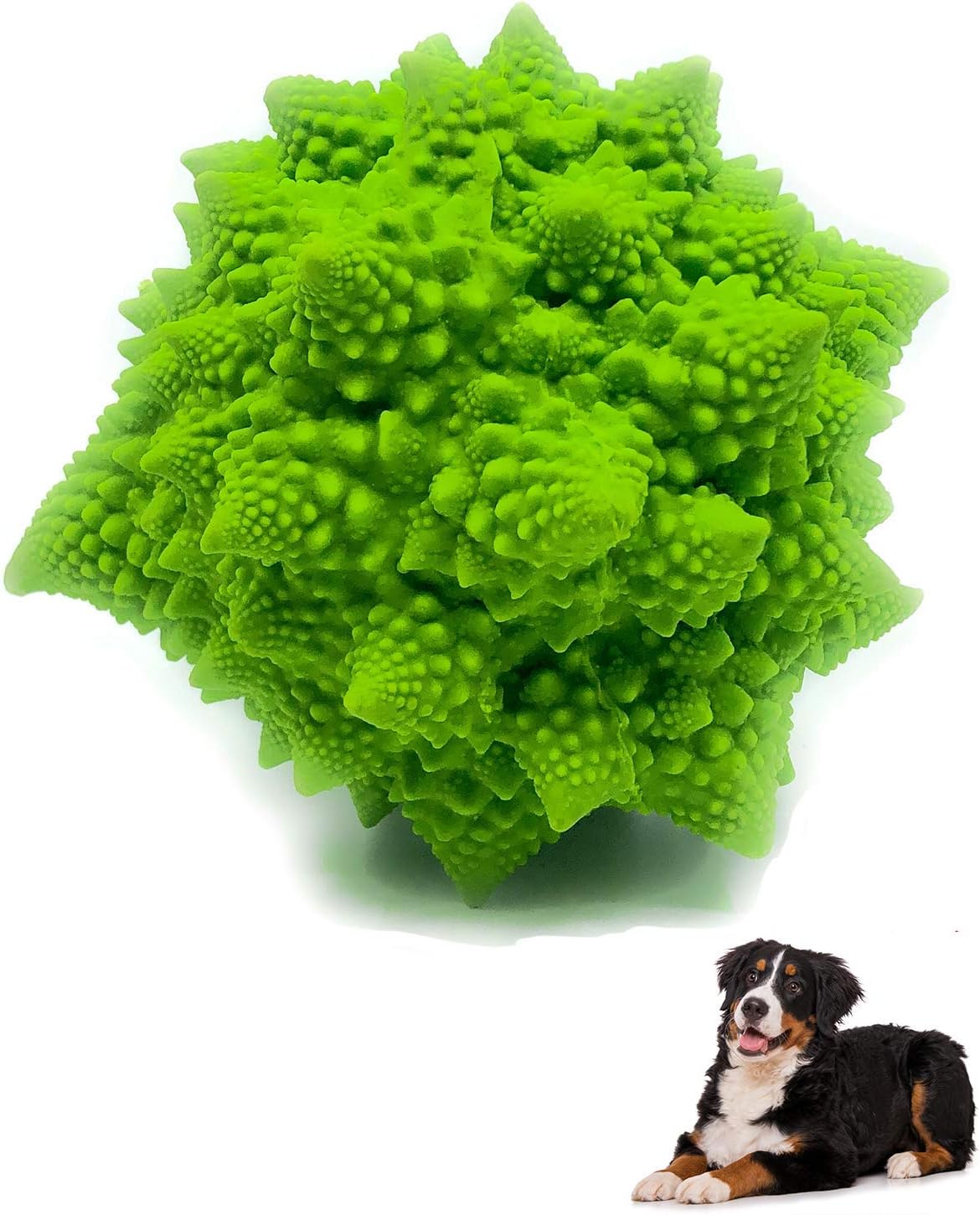 XL Squeaky Dog Toy - Large and Medium Dogs - Sensory Nubby Dog Toy Broccoli - Natural Rubber (Latex) - Free from Harmful Chemicals (Green)