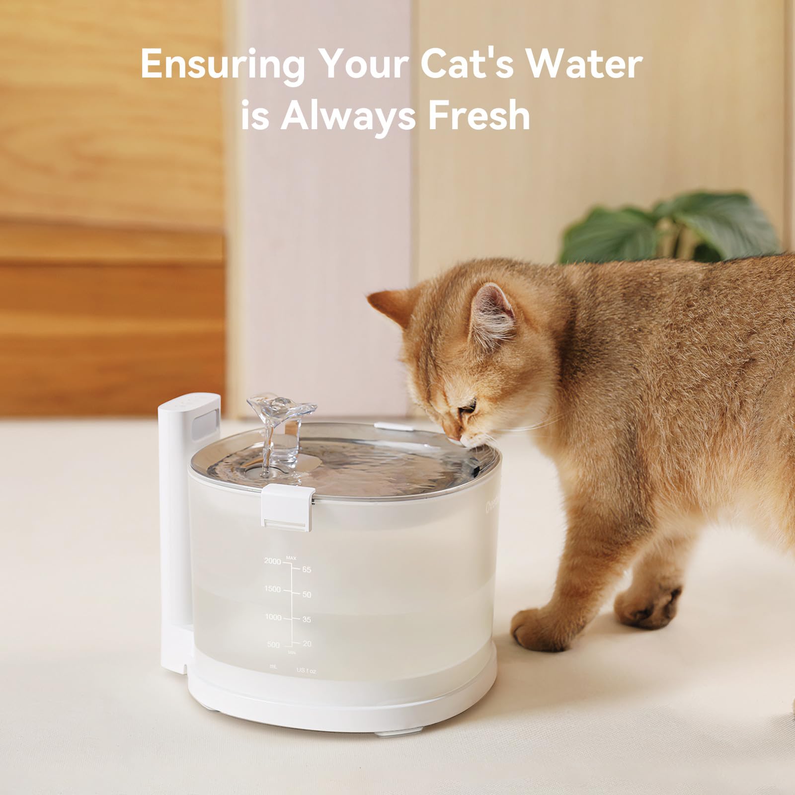 Amazon.com : Cheerble Replacement Filters for Cheerble/Elfin