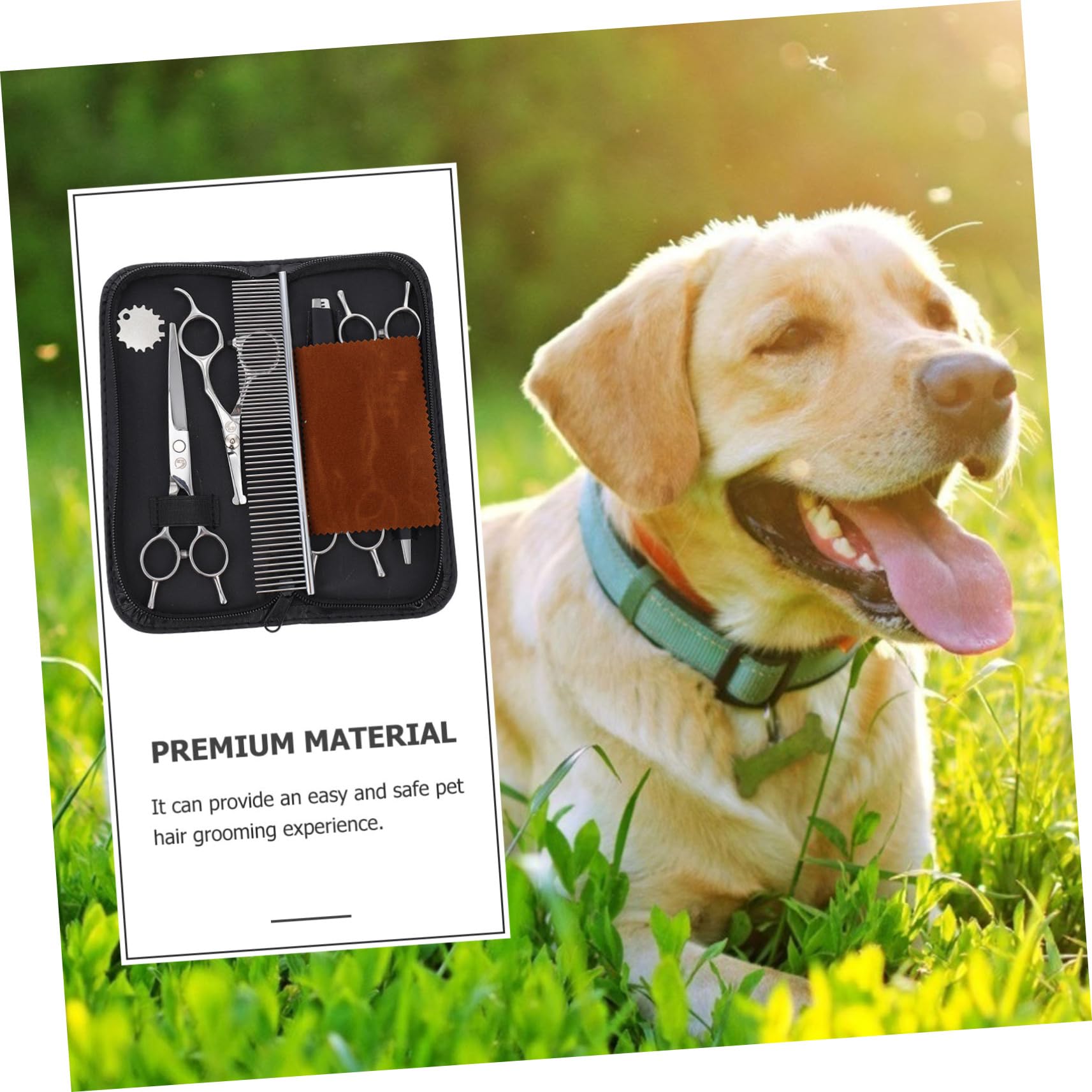 BESPORTBLE Ciseaux De Coupe Pour Animaux De Compagnie Acier Inoxydable Ciseaux De Toilettage Pour Chiens Pour Poils Animaux
