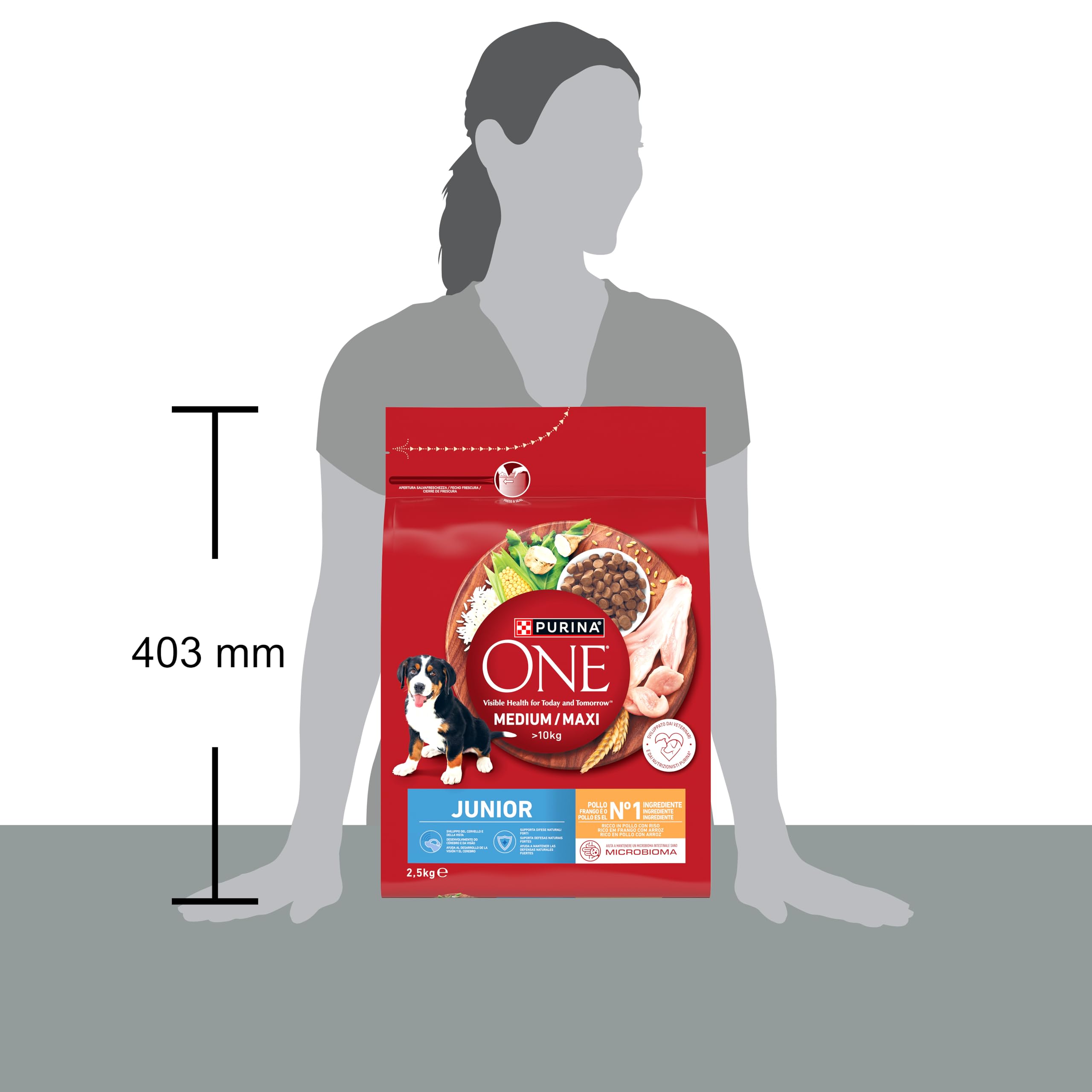 Purina ONE Medium Maxi pienso perro Cachorro Junior Pollo 4x2,5 kg