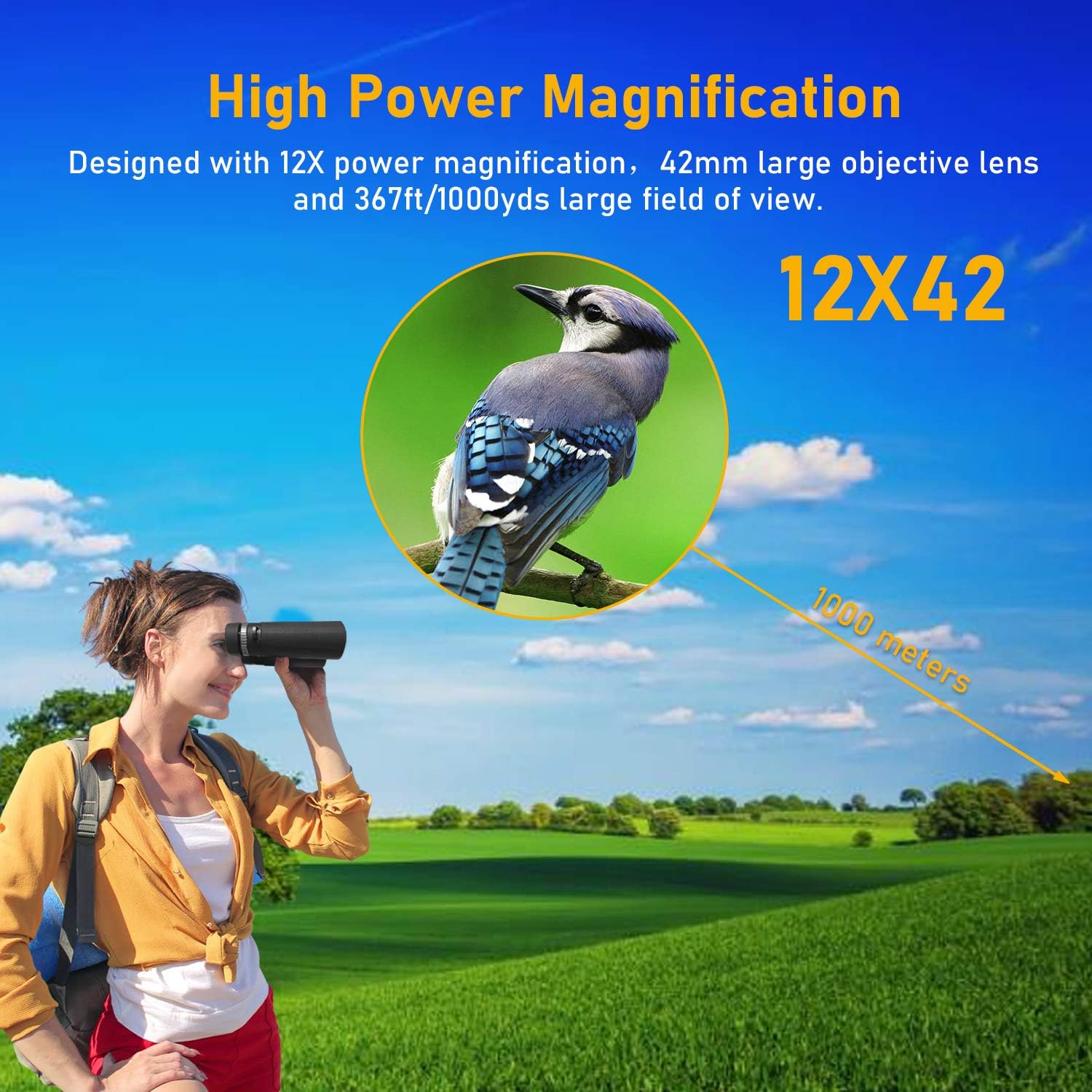 12x42 Binoculars for Adults - HD Low Light Night Vision - Compact Lightweight (1.05lb) - Powerful BAK4 Prism FMC Lens - Waterproof Binoculars for Bird Watching, Hunting, Sports -Phone Adapter Included : Electronics
