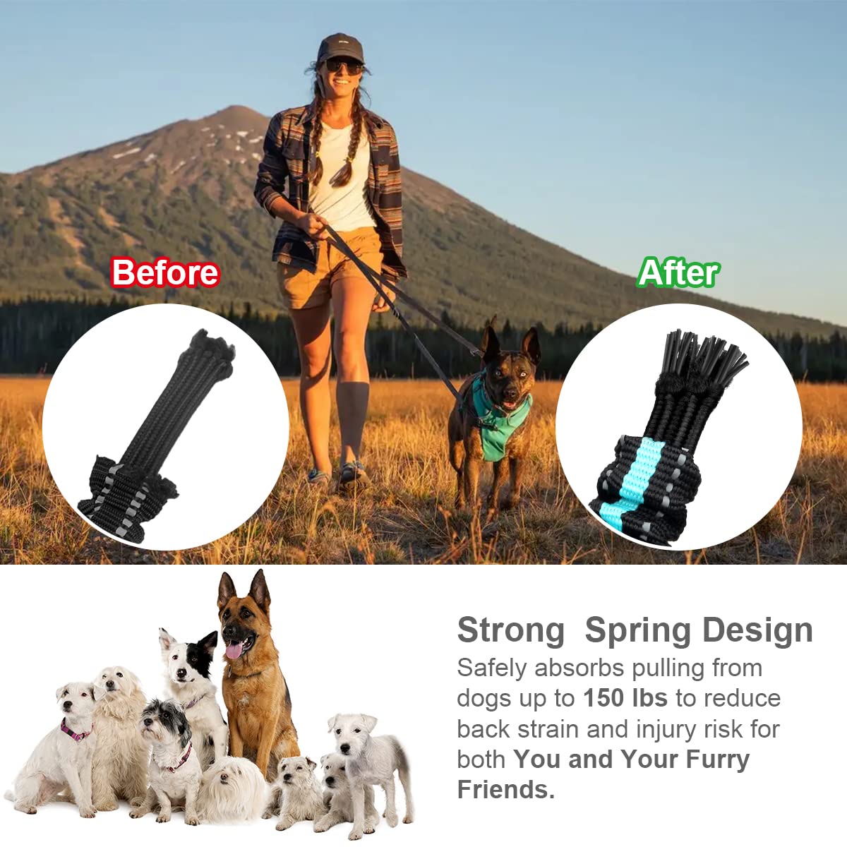 Guinzaglio Retrattile Philorn Per Cani Grandi Fino A 150lbs - Hands Free Con Cintura Regolabile - Foto 10