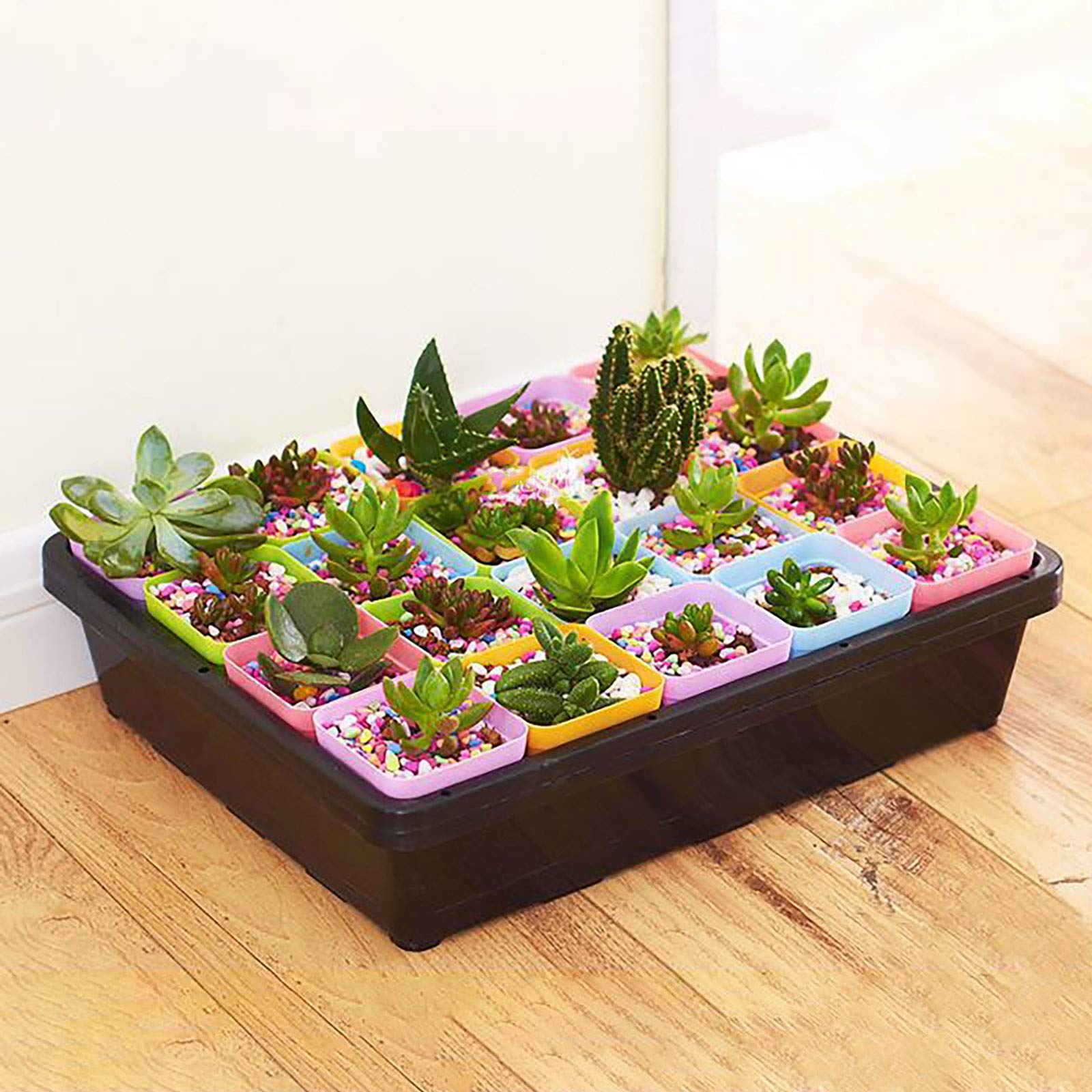 Amazon | 【在庫処分セール】DDUANDA 育苗ポットセット｜7×7cm 20 穴