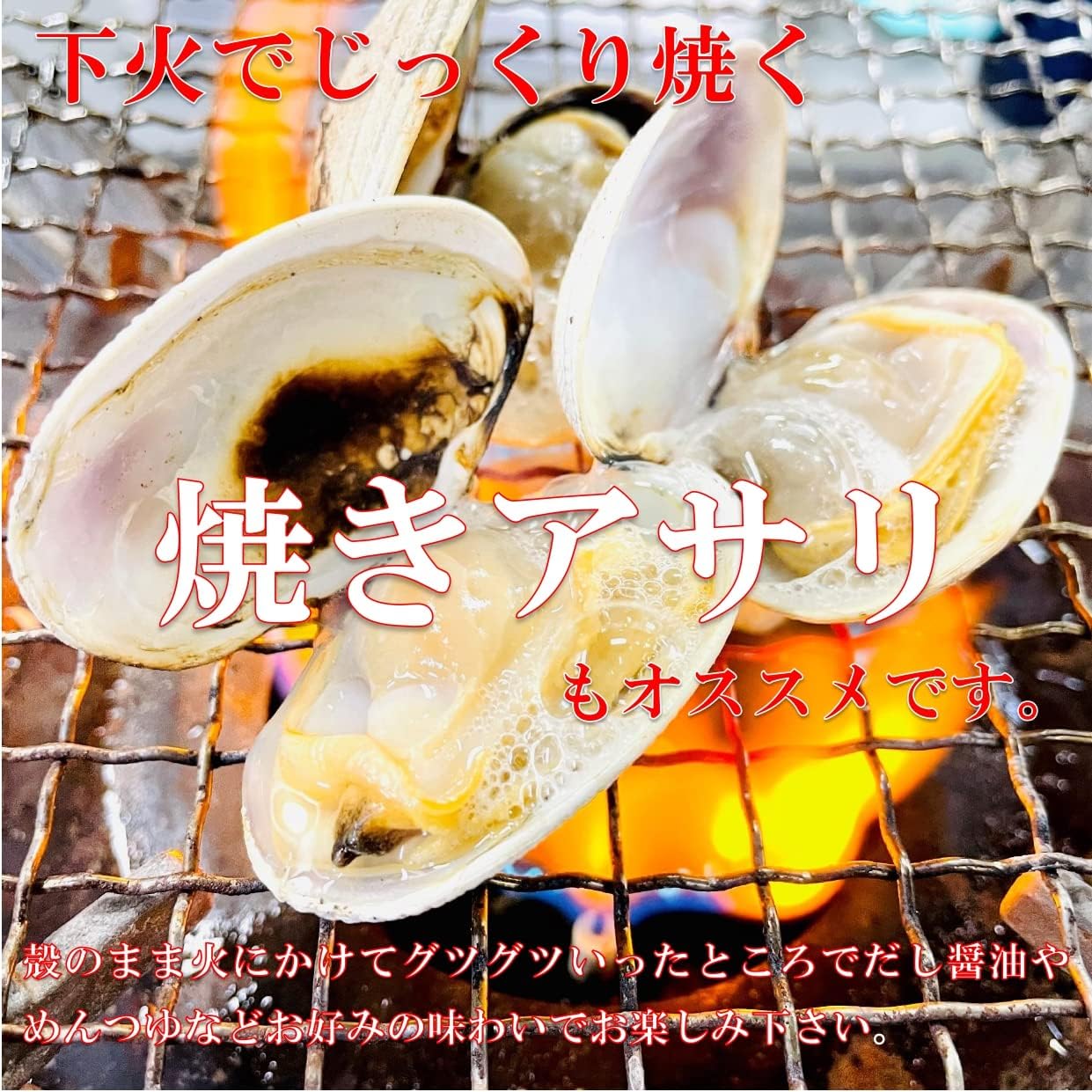 Amazon Kakiya 北海道産 大粒 活あさり 1kg 水産市場直送 1個 30g大粒アサリ 国産 あさり 天然あさり 活あさり アサリ 浅利 かきや No Kakiya 貝類 通販