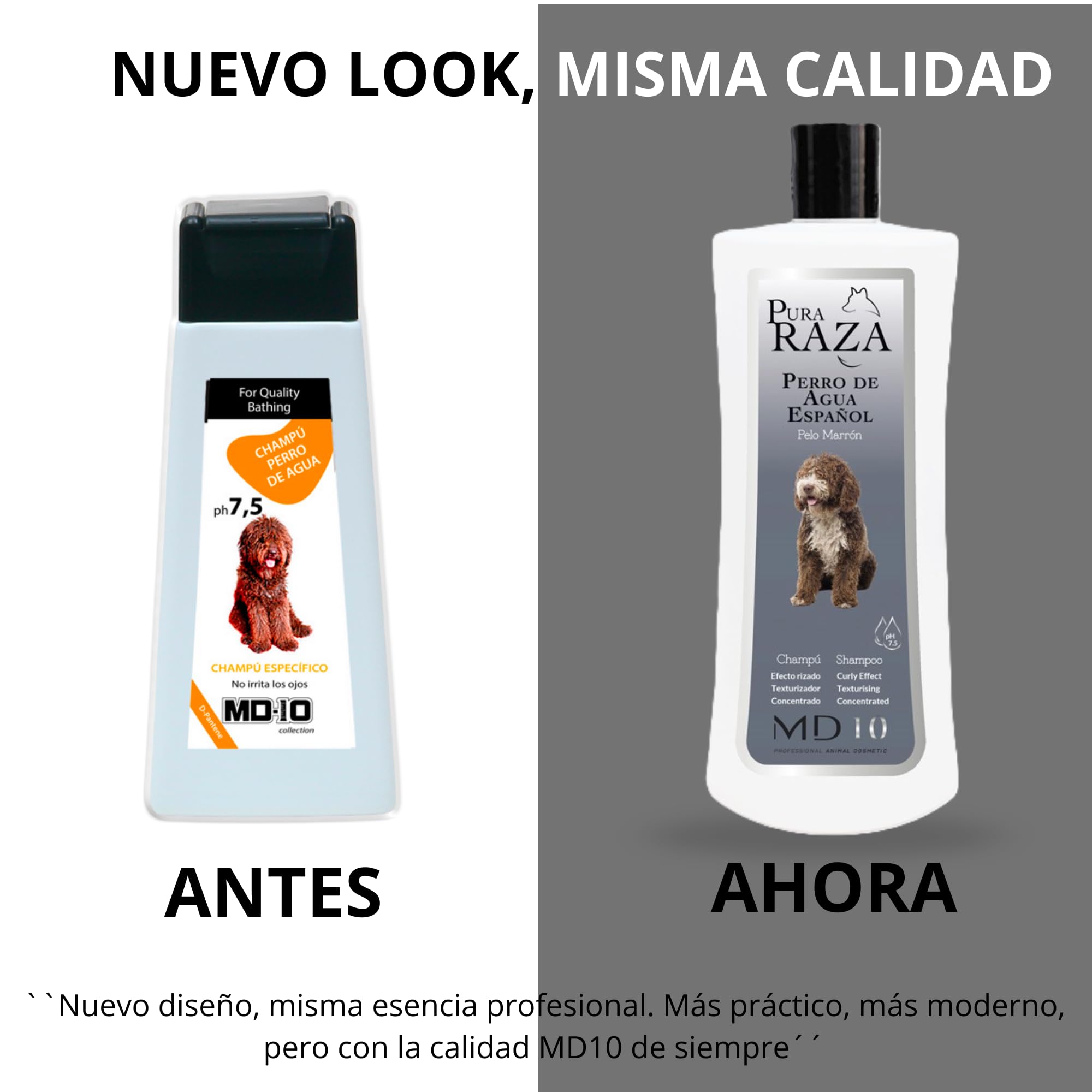 Champú para Perro de Agua Español Pelo Marrón de Diferentes Tonalidades - Champú Texturizador de Rizos Hidratante, Vegano y Biodegradable - Fabricado en España - 5 l - MD-10 COLLECTION