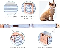 Vista 125 de Unique Style Paws - Collar rosa con hebilla de metal, duradero y lindo para perros pequeños a grandes