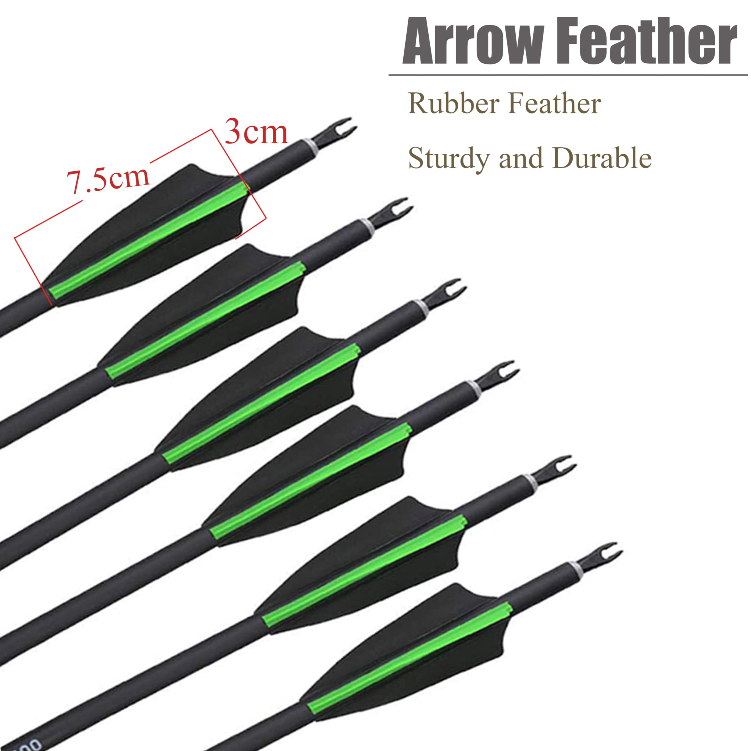 AMEYXGS 12 Stück Carbonpfeile Kohlenstoff Pfeile für Bogenschießen 30 Zoll Zielpfeile Spine 500 Bogenpfeile Jagd Pfeile mit Ersetzen Pfeilspitzen für Recurvebogen Compoundbogen Langbogen