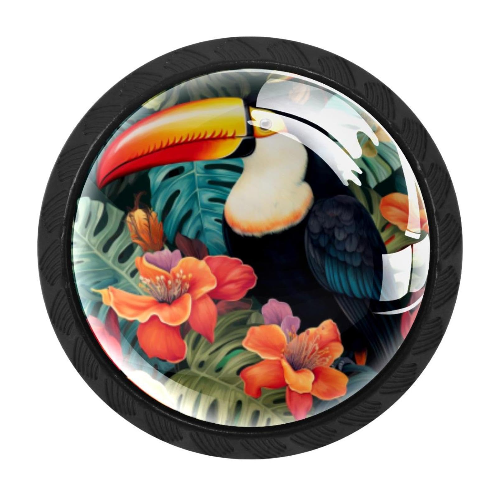 Chenzzzz Multicolored 02 4 Pack Round Cabinet Knobs For Kitchen Bathroom Closet Dresser Cabinets, Toucan