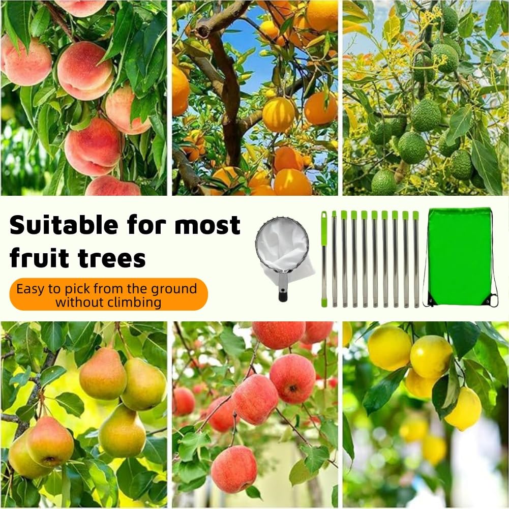 Raccoglitore per Mele con Manico Telescopico,Raccogli Frutta con Manico Telescopico,Raccoglitrice di Fruttai,Raccogli Frutta con Palo In Acciaio Inox Leggero,Raccogli Frutta Telescopico