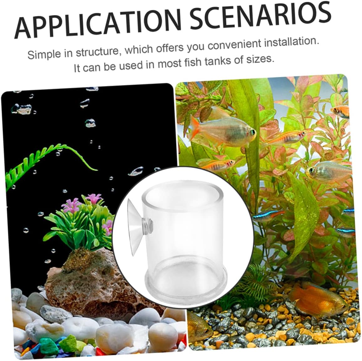 NOLITOY 4pcs Acrylic Fish Feeding with Cup Convenient Aquatic Feeder for Fish Tanks Promotes Healthy Eating and Reduces Waste and Elegant Design