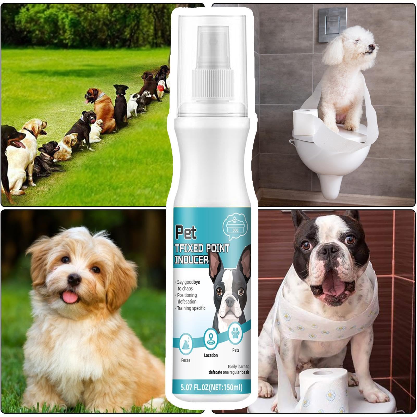 Spray d'apprentissage de la propreté – Spray attractif d'urine pour chien, aide à l'apprentissage de la propreté des chiots | Formule inodore de 150 ml pour une utilisation en intérieur et en