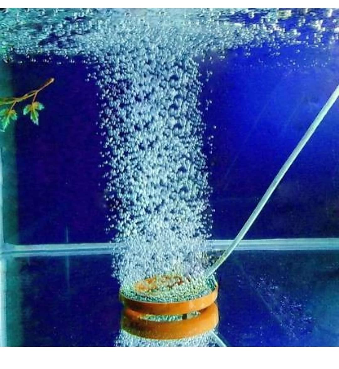 Mistletoe Product Aquarium Million Bubbles Air Oxygen Ring (Size-3") Aquarium Air Stone (2 Stone) for Fish Tank (B09FFH3GYK) Amazon Price History, Amazon Price Tracker