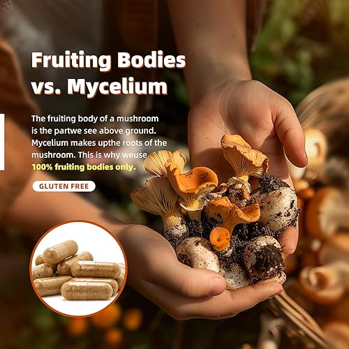 Miniatura 6 de Suplemento complejo de hongos de 2600 mg, 120 cápsulas - Mezcla de 10 hongos - Reishi, melena de león, cordyceps, chaga, cola de pavo, maitake,