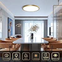 Vista 29 de 12 Inch Gold LED Ceiling Light, 3000K Warm White, 24W Gold Flush Mount Ceiling Light, 3200LM Round Low Profile Ceiling Lights for Bedroom, Living