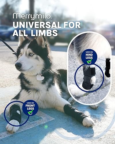 Miniatura 8 de MerryMilo Soporte de pierna de perro para talón trasero y tobillo, envoltura de compresión de articulación de pierna trasera canina para ACL y CCL,