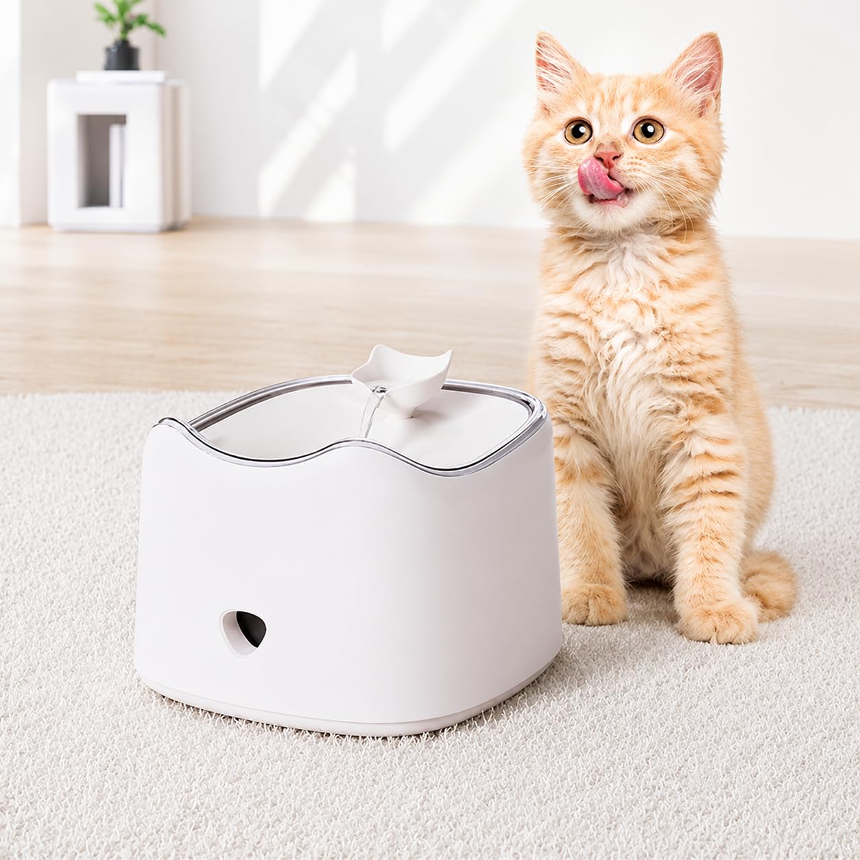 Diyeeni Fontana ad acqua wireless per cani di taglia grande, fontana ad energia solare silenziosa per animali domestici e gatti, dispenser automatico per cani e case per animali domestici, fresco
