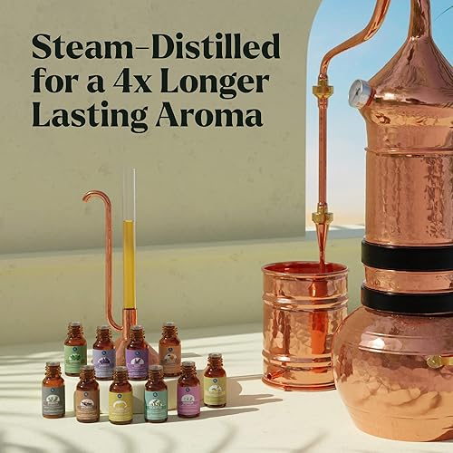 Miniatura 4 de Paquete de aceites esenciales definitivos juego de regalo de 2 x 10 con bolsa de viaje y caja de regalo - para difusor, humidificador, masaje,