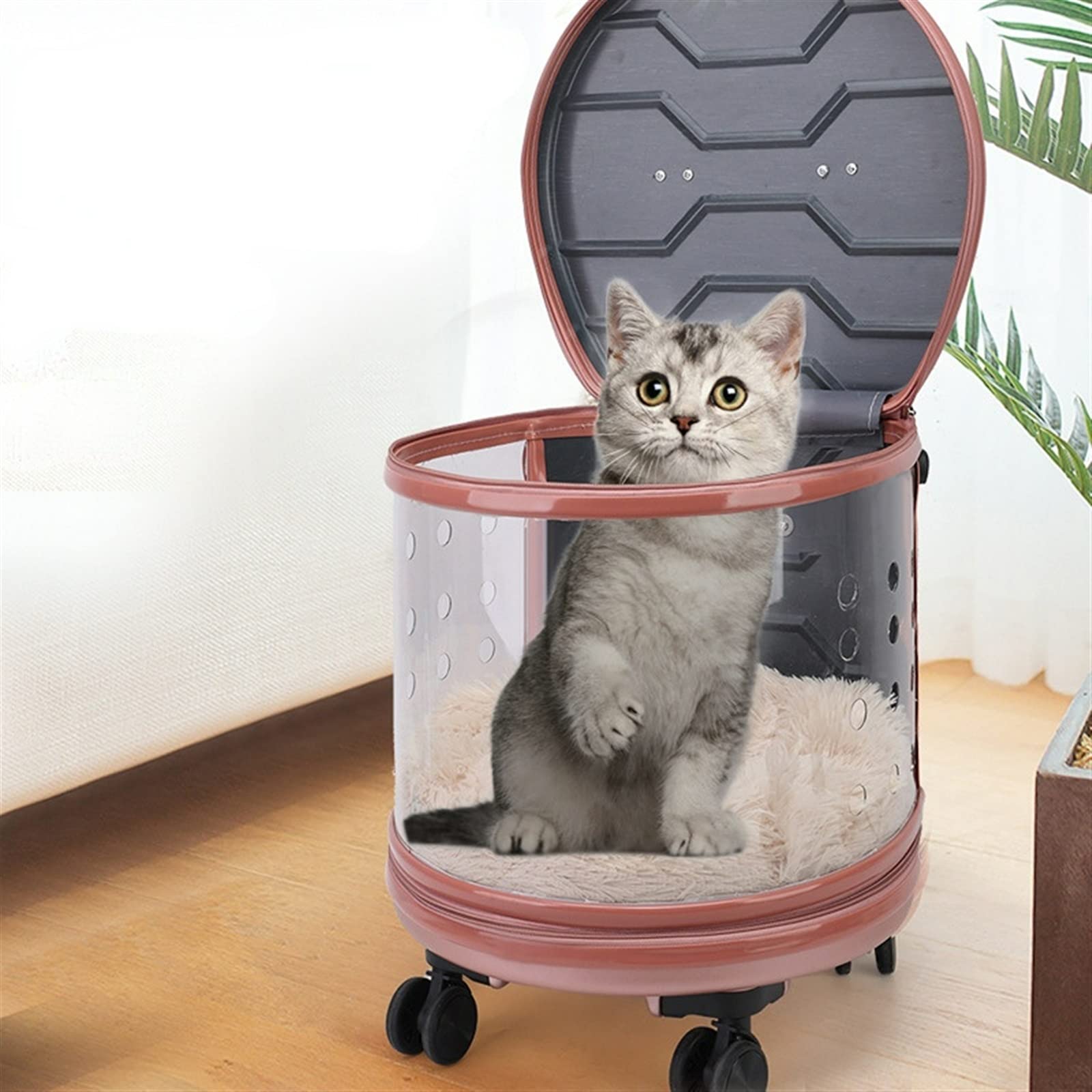 Mochila para Gatos, Cubierta con Carrito para Mascotas, Bolsa de Transporte de Viaje para Perros, Bolso Transparente con Vista panorámica, Mochila portátil para Salida, Caja de Burbujas (Pink)