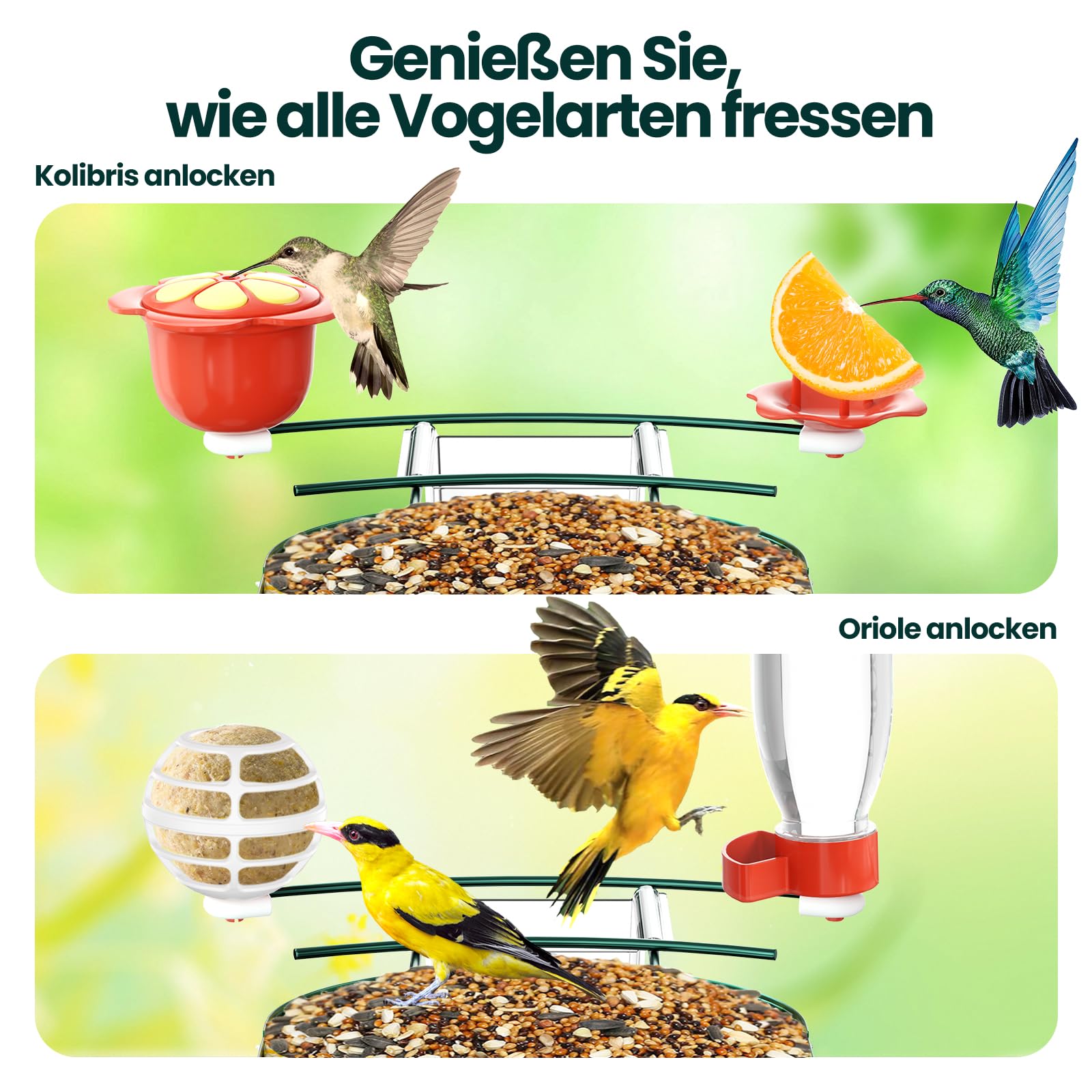 SOLIOM BF08 Pajarera con cámara, comedero para pájaros para el patio trasero, comedero para pájaros con grabación de vídeo, cámara WiFi, alimentador inteligente para pájaros con panel solar y