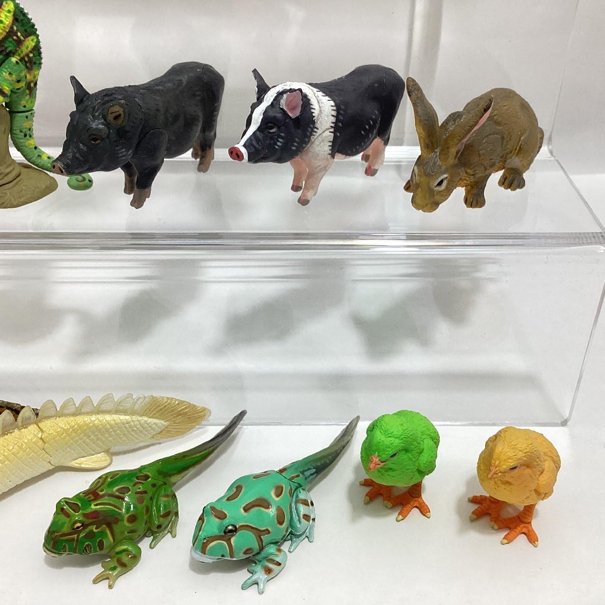 Amazon.co.jp: タカラ チョコQ アニマテイルズ ペット動物 シリーズ5