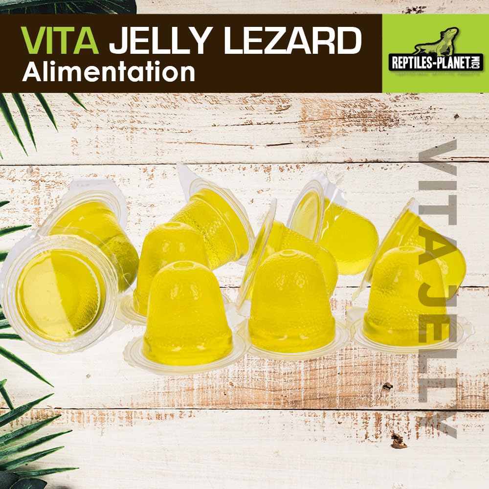 Reptiles Planet - Vita Jelly Banane pour Lézard - 10 pcs