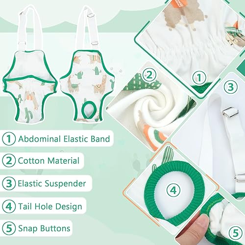 Miniatura 3 de QBLEEV Pañales para perras para hembra, lavables, sanitarios, con tirantes ajustables, pañales reutilizables para perros machos en celo, lindas
