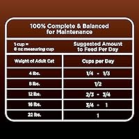 Vista 8 de Iams Advanced Health Healthy Digestion Turkey and Chicken Recipe Adult Dry Cat Food, 16 lb. Bag