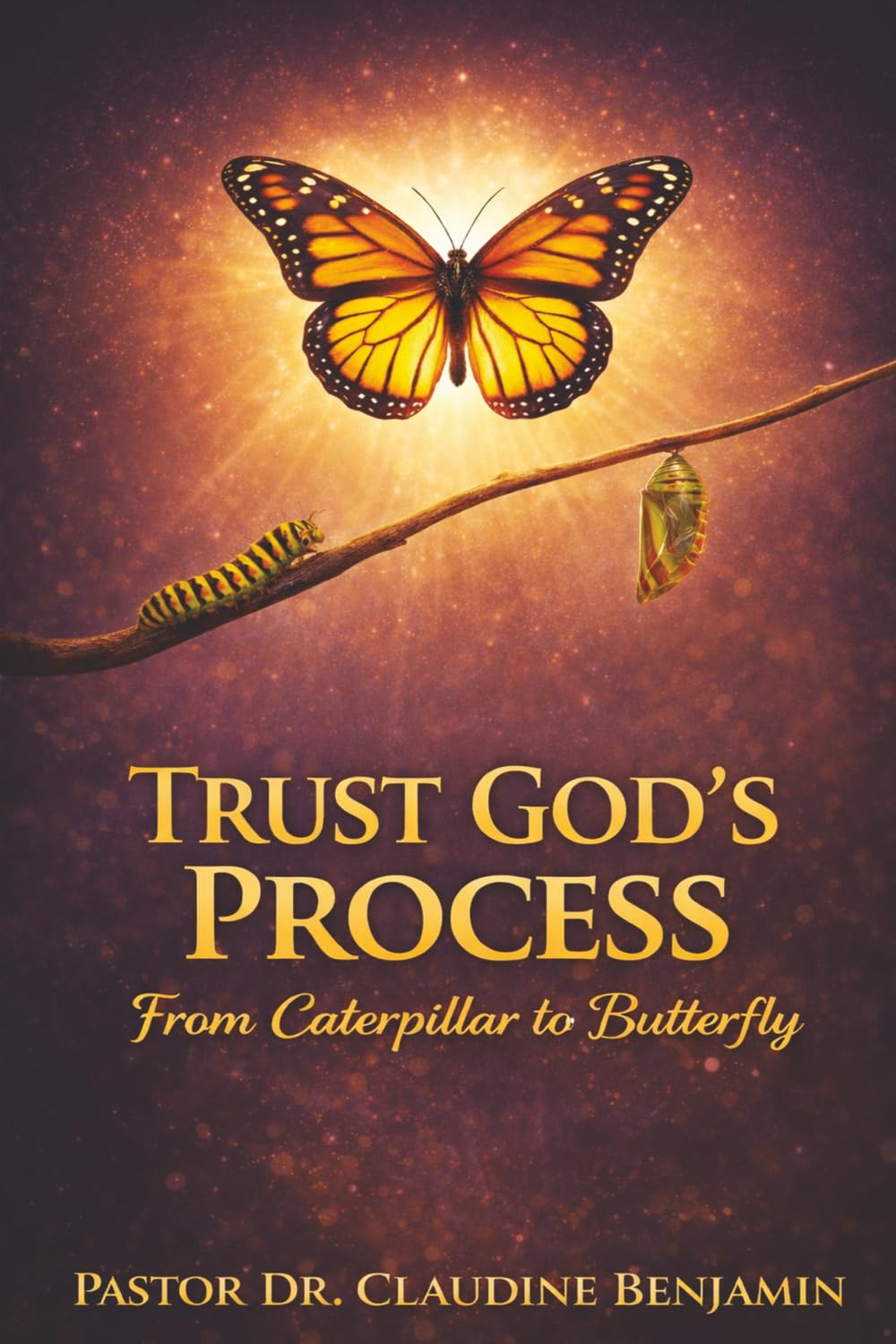 Trust God's Process: From Caterpillar to Butterfly
