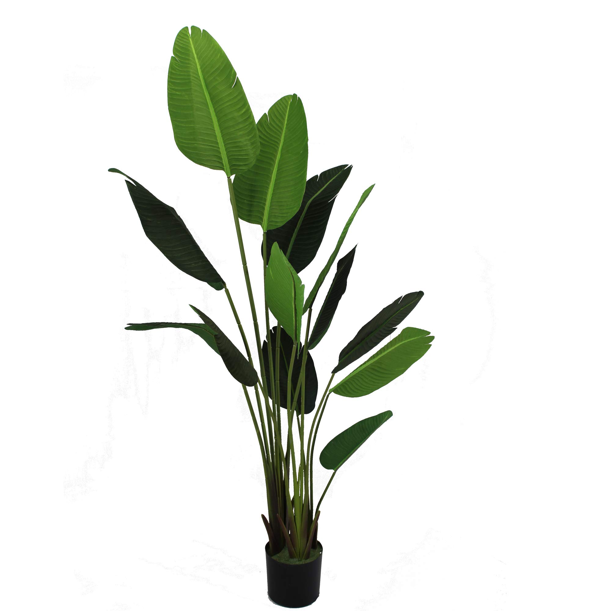 Artificial Silk Bird of Paradise Palm Tree Potted Tree Artificial Travelers Tree, Artificial Silk Plant,Artificial Tree 6-Feet, 4-Feet high, Green (Size:70