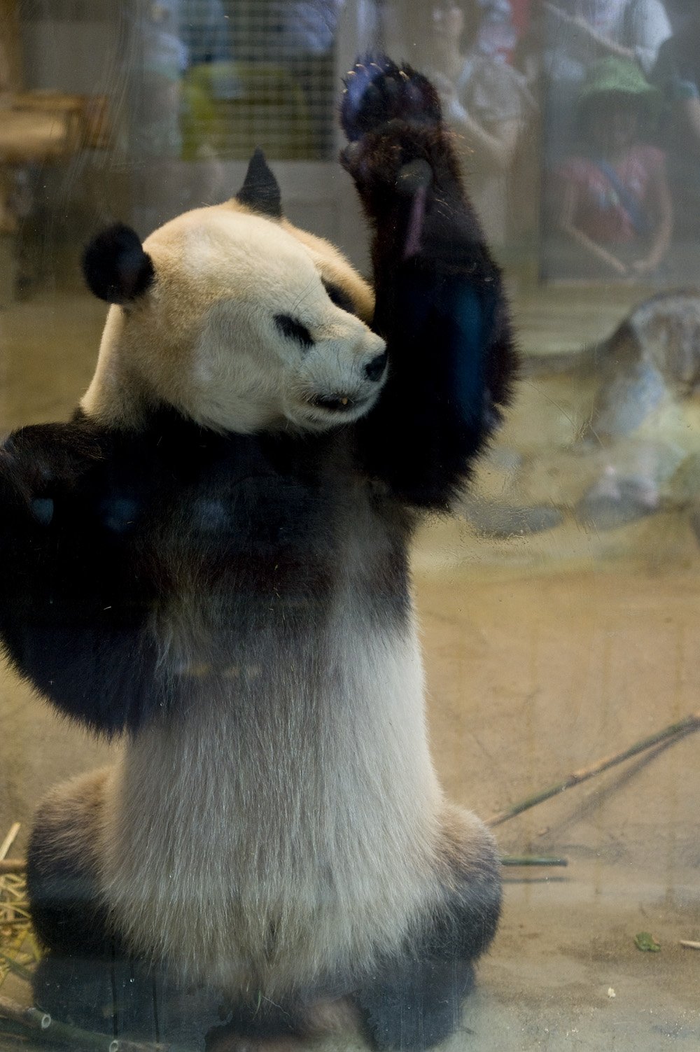 おつかれっ 毎日パンダ 高氏貴博 配送料無料