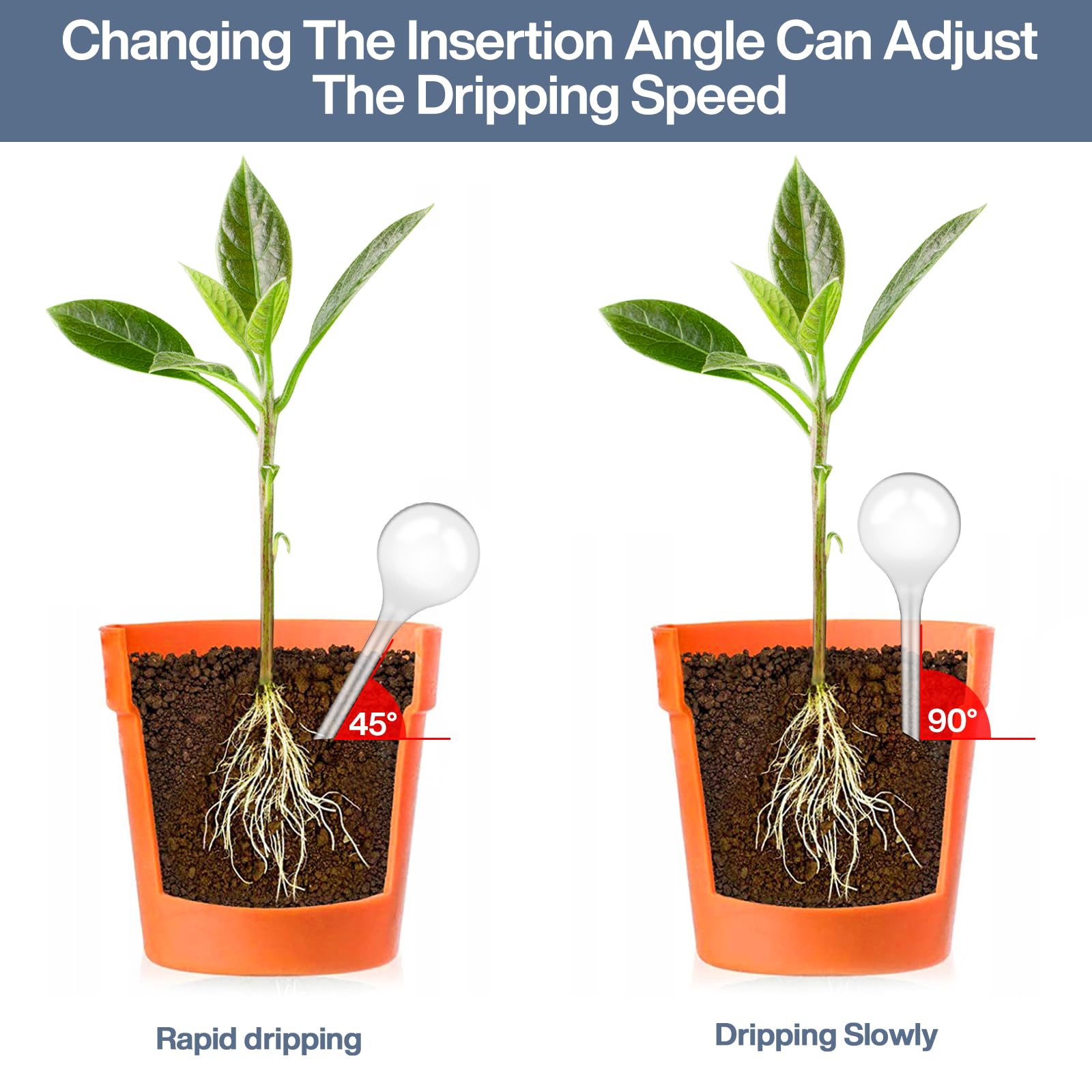 12 Pièces Boules d'Irrigation pour Plantes,Plante Arrosage Goutte à Goutte Automatique,Transparent Distributeur Eau Plante, Système Bulbes D'Arrosage pour Plantes D'Intérieur et D'Extérieur