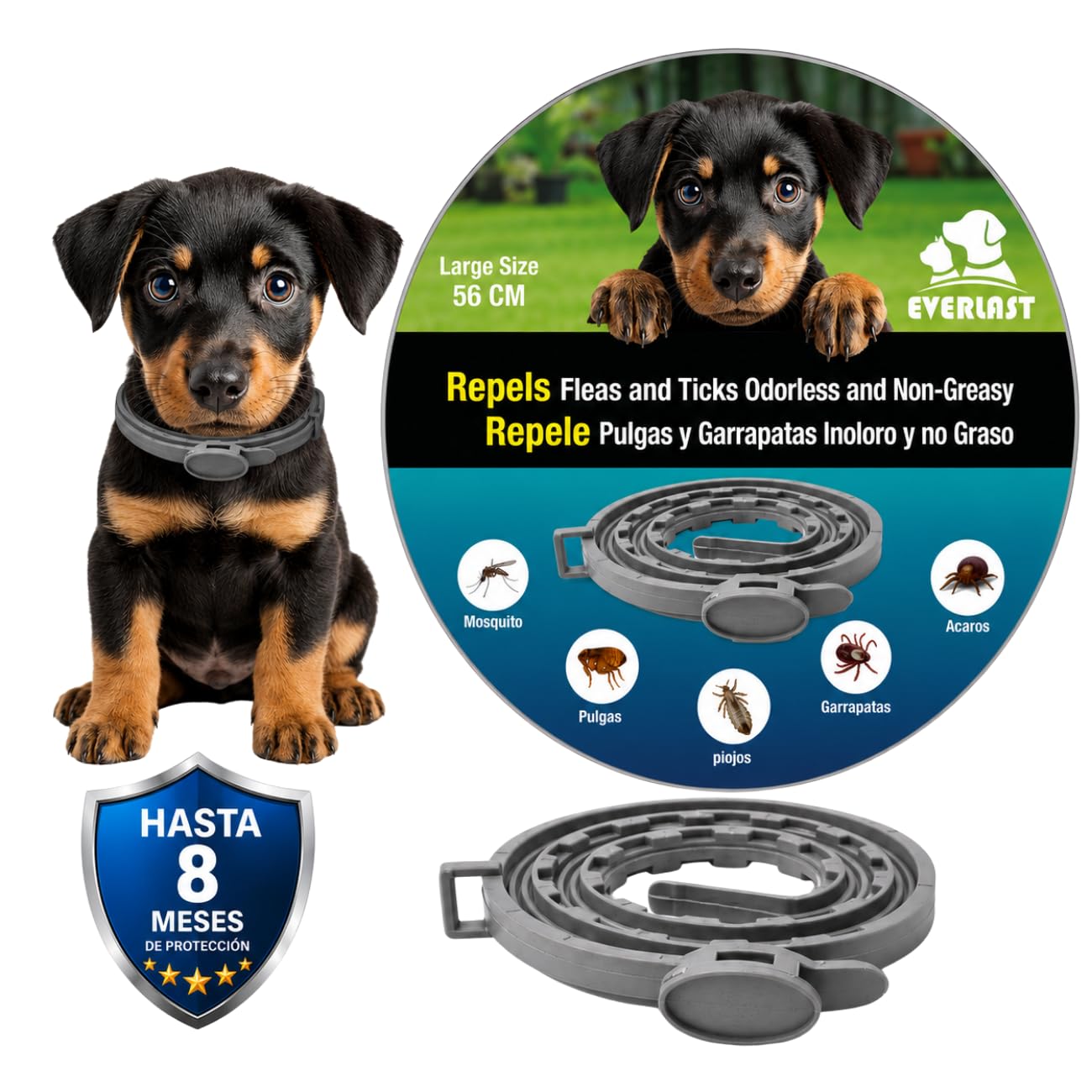 Collare Antiparassitario per Cani - 8 Mesi di Protezione contro Pulci, Zecche, Zanzare e Acari - 65 cm Regolabile, Efficace e Sicuro 100% Naturali (1, GRIGIO RINFORZATO, 56CM)