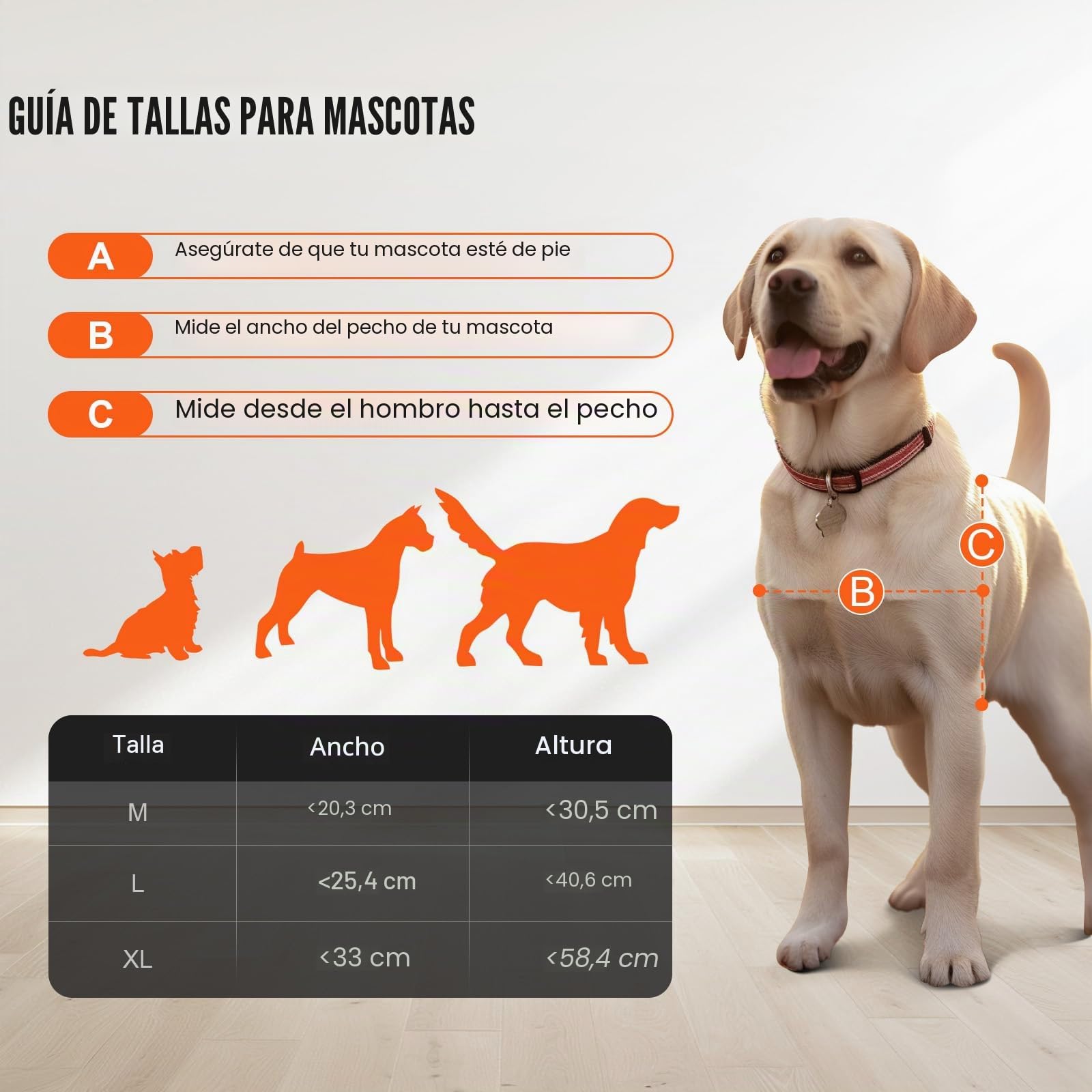 VEVOR Puerta Corrediza de Vidrio para Perros Altura Ajustable 209,6 x 311,2 x 1927-2049 mm Puerta para Mascotas de Vidrio Templado con Estructura de Bisagra, Solapa y Cerradura para Perros Pequeño