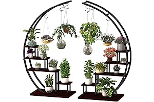 GDLF 5-Tier Half-Moon Circle Plant Stand