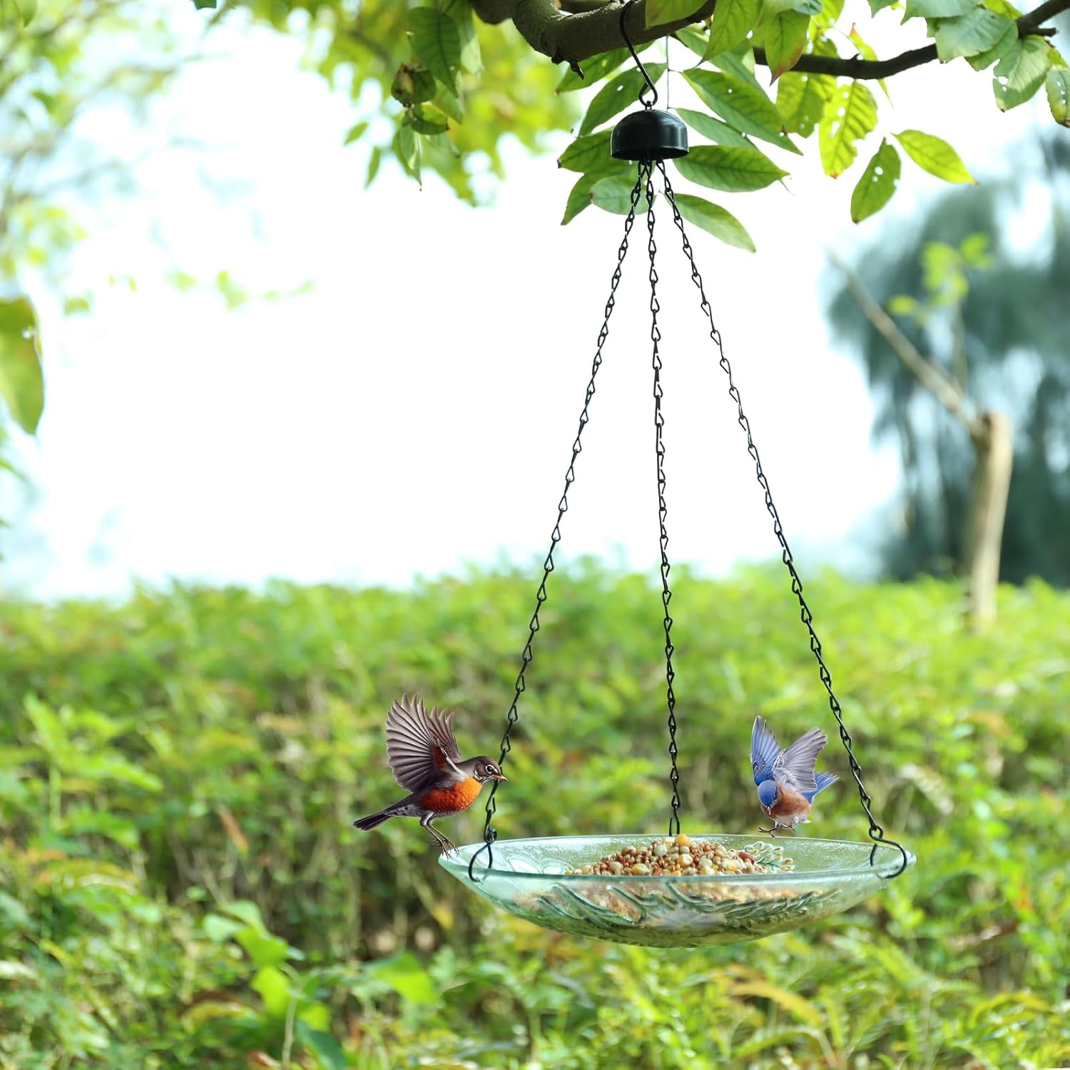 MUMTOP Glass Bird Bath