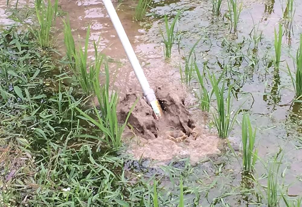 RYOHEI ITAHASHI、アマート　2点 AZM-2150_1.jpg