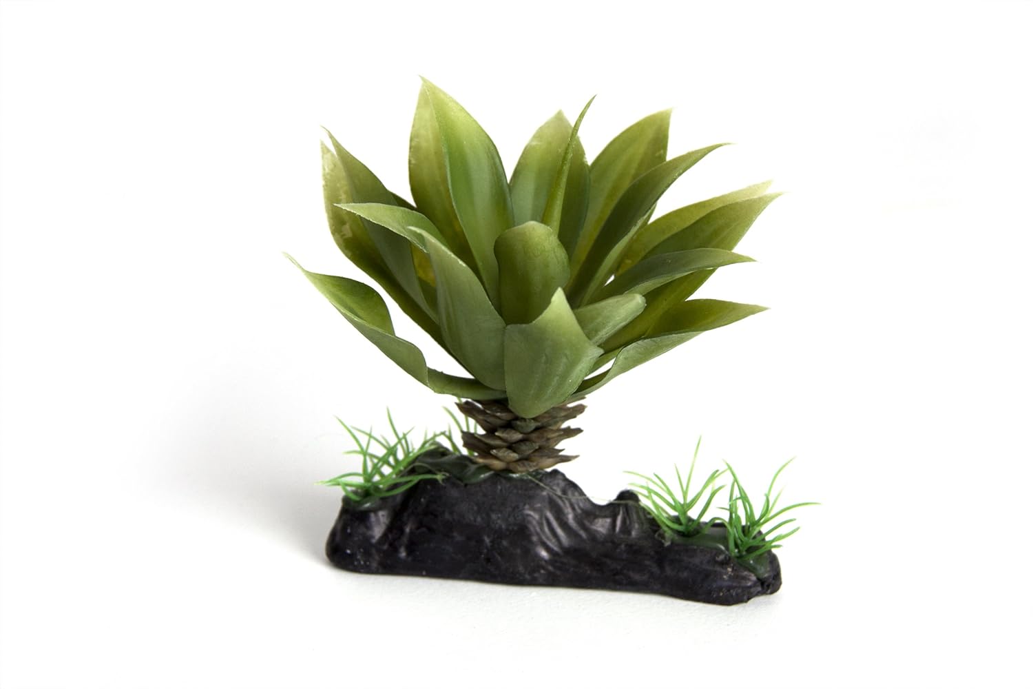 piante per habitat rettili e anfibi